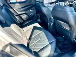 
										DS DS3 130 EAT8 Rivoli plein									