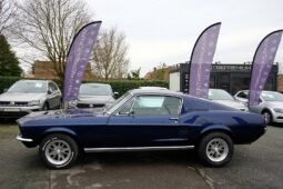 
										FORD MUSTANG FASTBACK GTA V8 220ch 1967 plein									