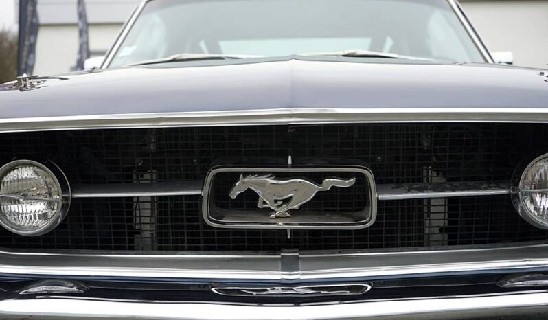 
								FORD MUSTANG FASTBACK GTA V8 220ch 1967 plein									